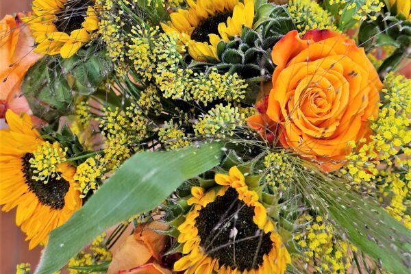 WhatsApp Image 2021-09-12 at 14.21.26 (3)