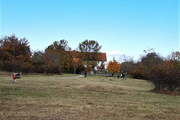 WhatsApp Image 2021-11-06 at 13.44.44