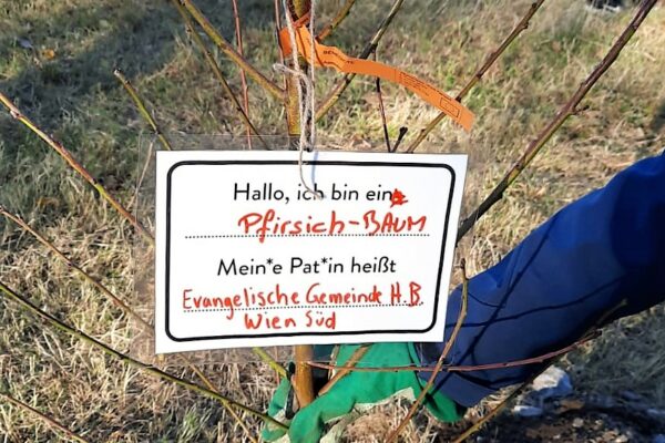 WhatsApp Image 2021-11-06 at 14.46.55