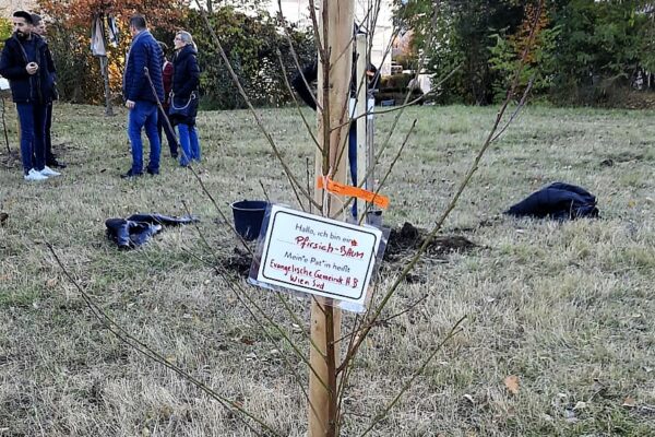 WhatsApp Image 2021-11-06 at 15.09.42