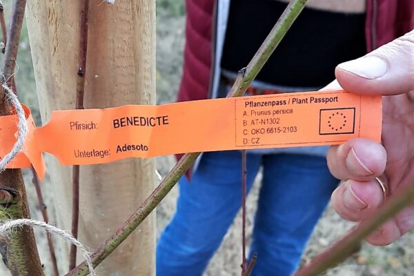 WhatsApp Image 2021-11-06 at 15.11.45