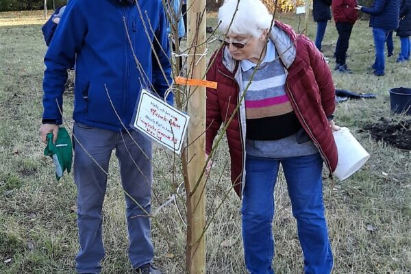 WhatsApp Image 2021-11-06 at 15.12.03