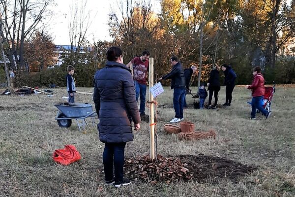 WhatsApp Image 2021-11-06 at 15.46.23