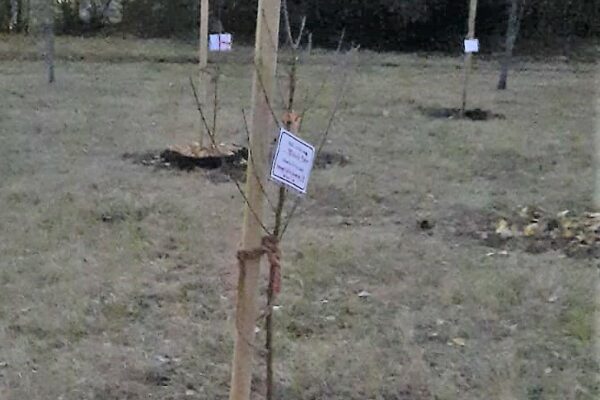 WhatsApp Image 2021-11-06 at 16.58.33