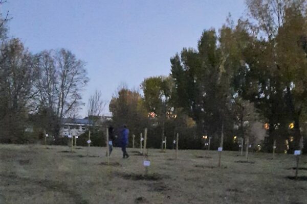 WhatsApp Image 2021-11-06 at 17.01.09