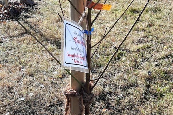 WhatsApp Image 2021-11-07 at 12.32.24