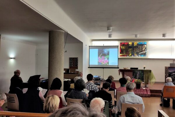 WhatsApp Image 2023-03-03 at 19.08.31