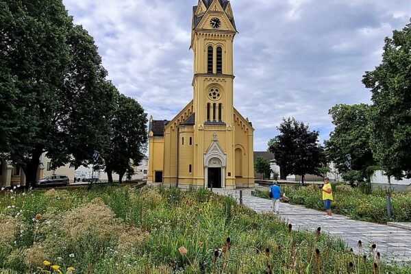 WhatsApp Bild 2023-07-30 um 20.38.41