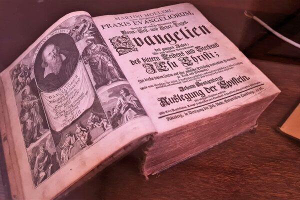 WhatsApp Bild 2023-07-30 um 20.38.42