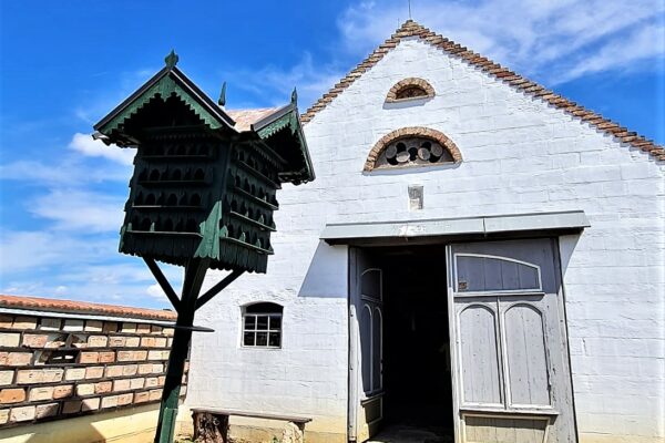 WhatsApp Bild 2023-07-30 um 20.44.12