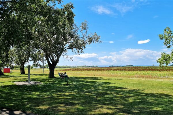 WhatsApp Bild 2023-07-30 um 20.44.20