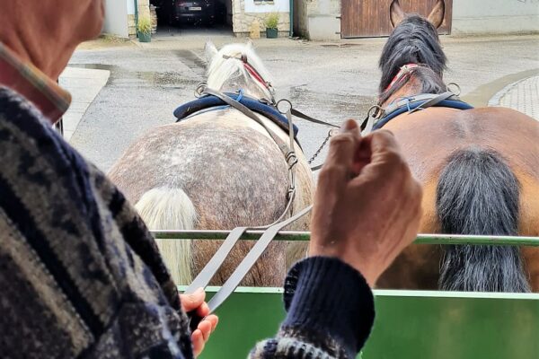 WhatsApp Bild 2023-07-30 um 20.44.23