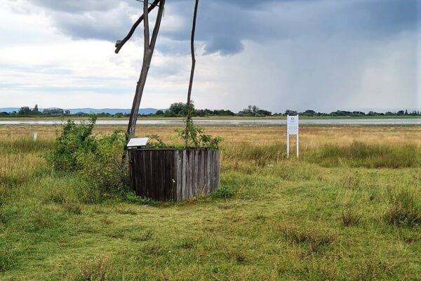 WhatsApp Bild 2023-07-30 um 20.44.24