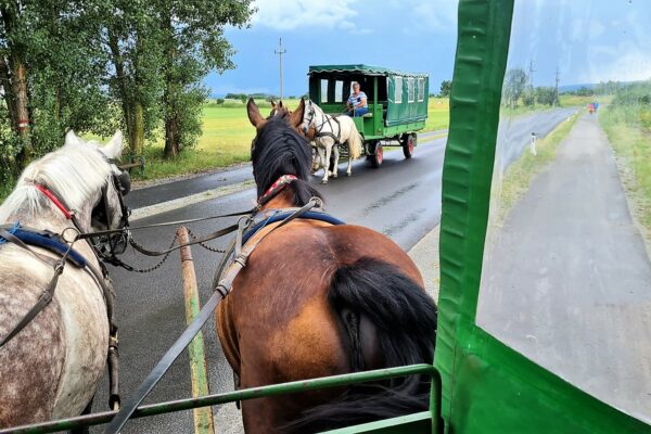 WhatsApp Bild 2023-07-30 um 20.44.25