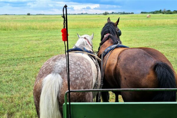 WhatsApp Bild 2023-07-30 um 20.44.26