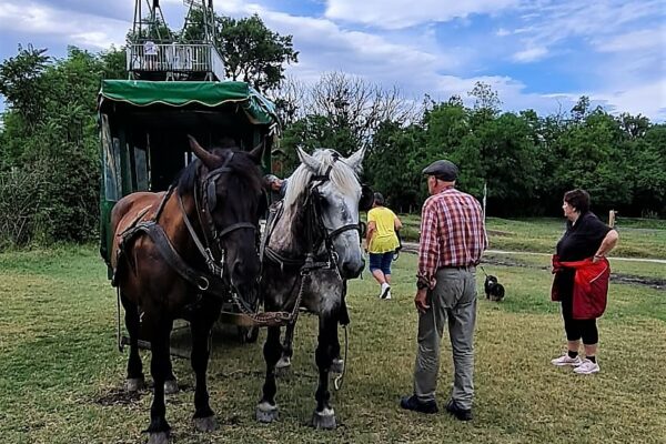 WhatsApp Bild 2023-07-30 um 20.44.27