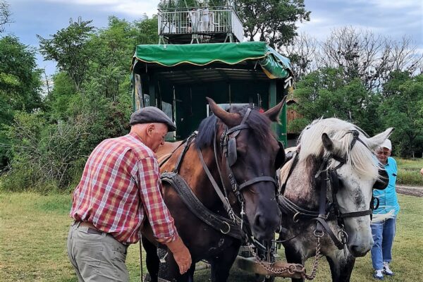 WhatsApp Bild 2023-07-30 um 20.44.28