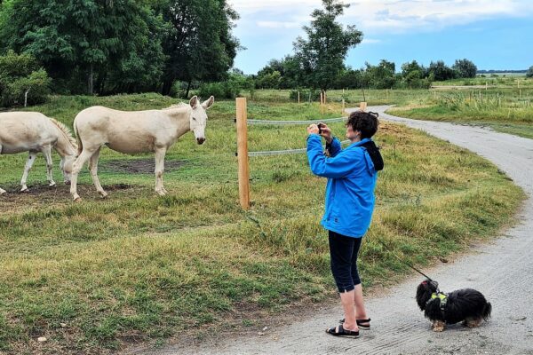 WhatsApp Bild 2023-07-30 um 20.44.29