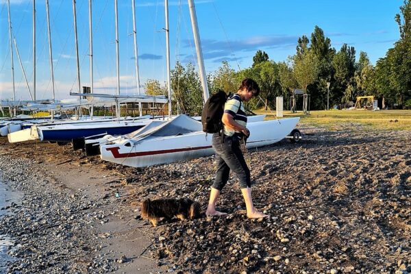 WhatsApp Bild 2023-07-30 um 20.47.40