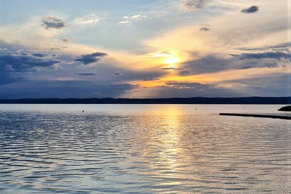 WhatsApp Bild 2023-07-30 um 20.47.44