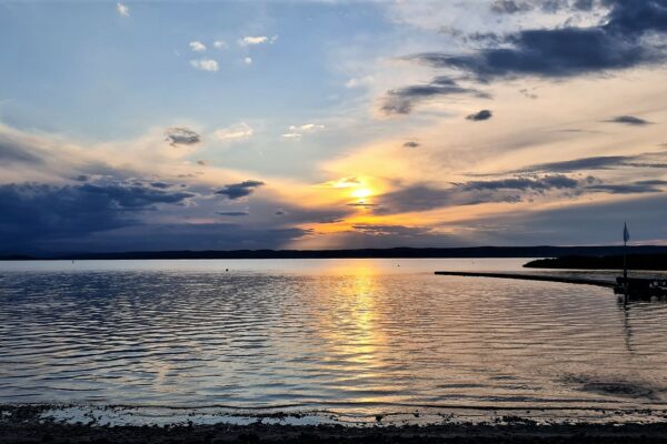 WhatsApp Bild 2023-07-30 um 20.47.45