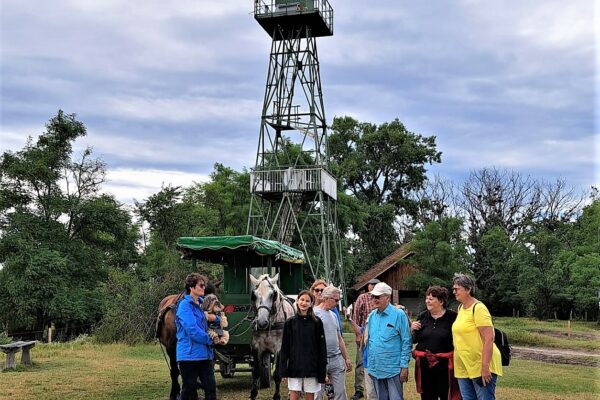 WhatsApp Bild 2023-08-02 um 10.30.10