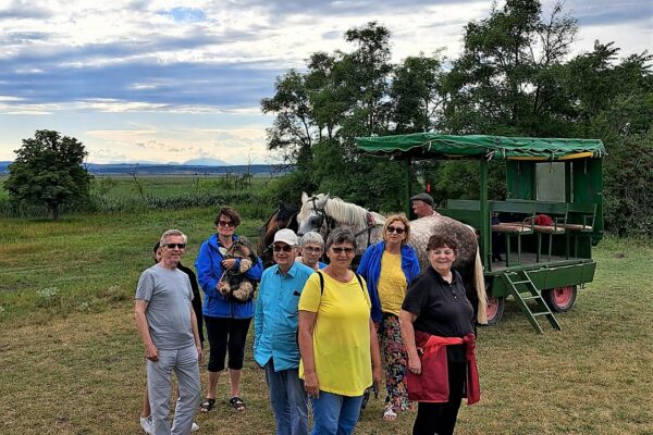 WhatsApp Bild 2023-08-02 um 10.30.11