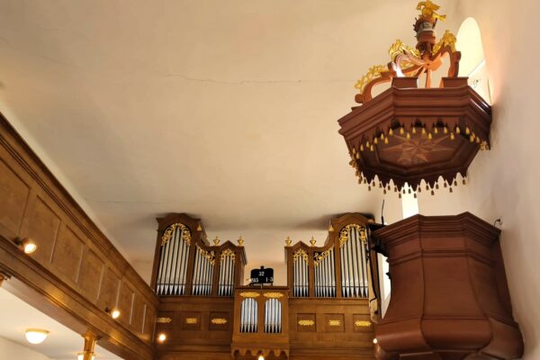 WhatsApp Bild 2023-09-22 um 19.42.11