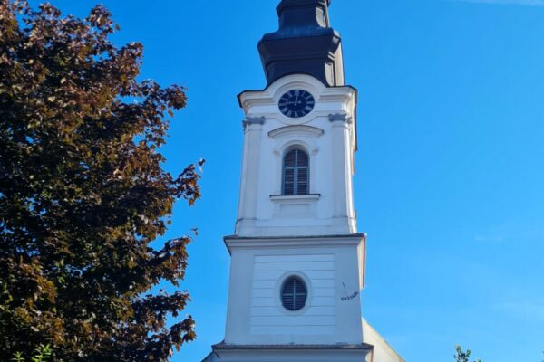 WhatsApp Bild 2023-09-22 um 19.42.13