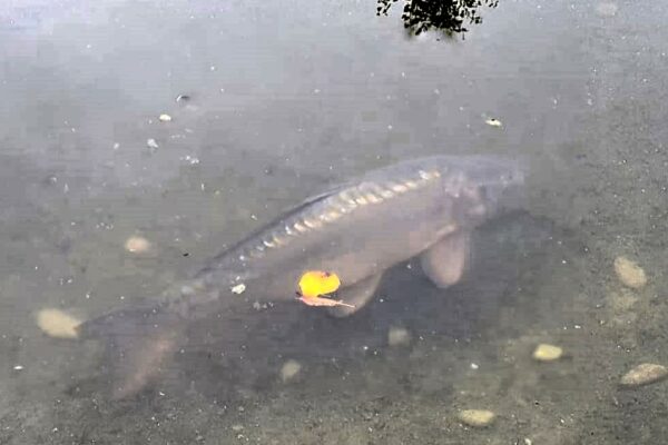 WhatsApp Bild 2024-10-18 um 14.42.51_70722b5e