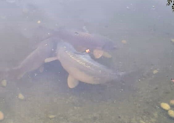 WhatsApp Bild 2024-10-18 um 14.42.51_7a2a0216