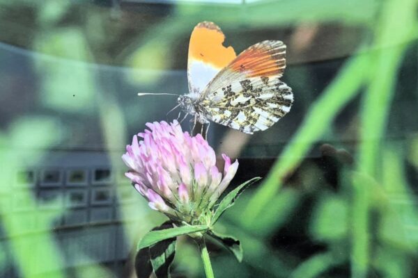 WhatsApp Bild 2024-10-18 um 14.42.51_d776dea5