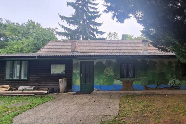 WhatsApp Bild 2024-10-18 um 14.42.52_006f583e