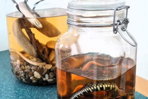 WhatsApp Bild 2024-10-18 um 14.42.52_7d6dfaec