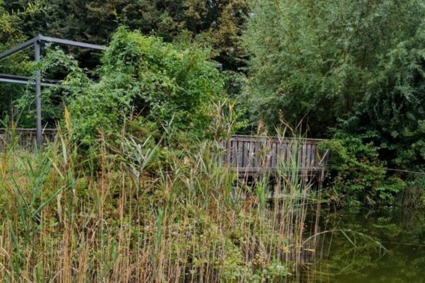 WhatsApp Bild 2024-10-18 um 14.42.52_d89eb8c5